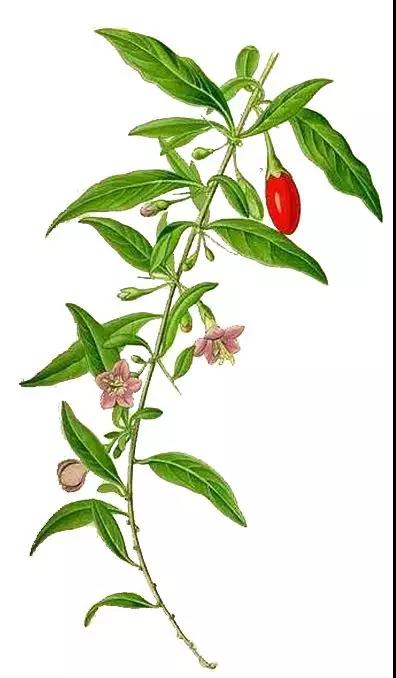 微信图片_20180514163858.jpg 微信图片_20180514163858.jpg